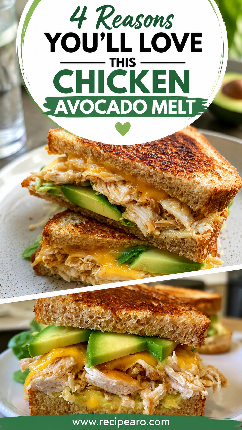 Chicken Avocado Melt Sandwich
